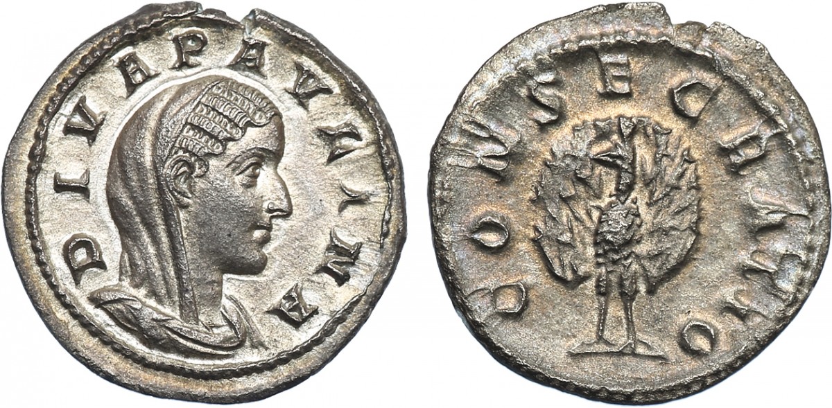 1513420l.jpg