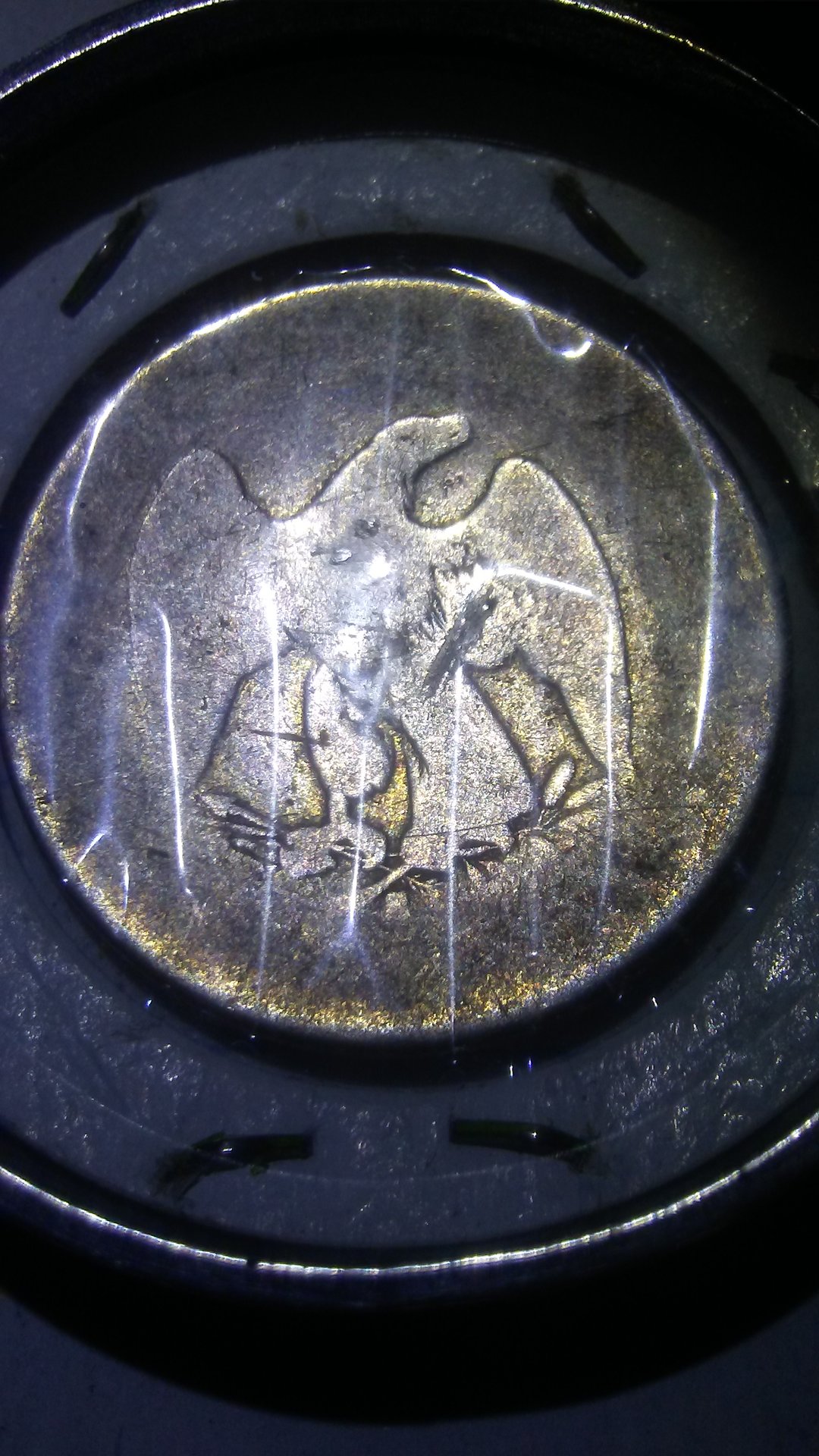 1516268305169-1752985597.jpg