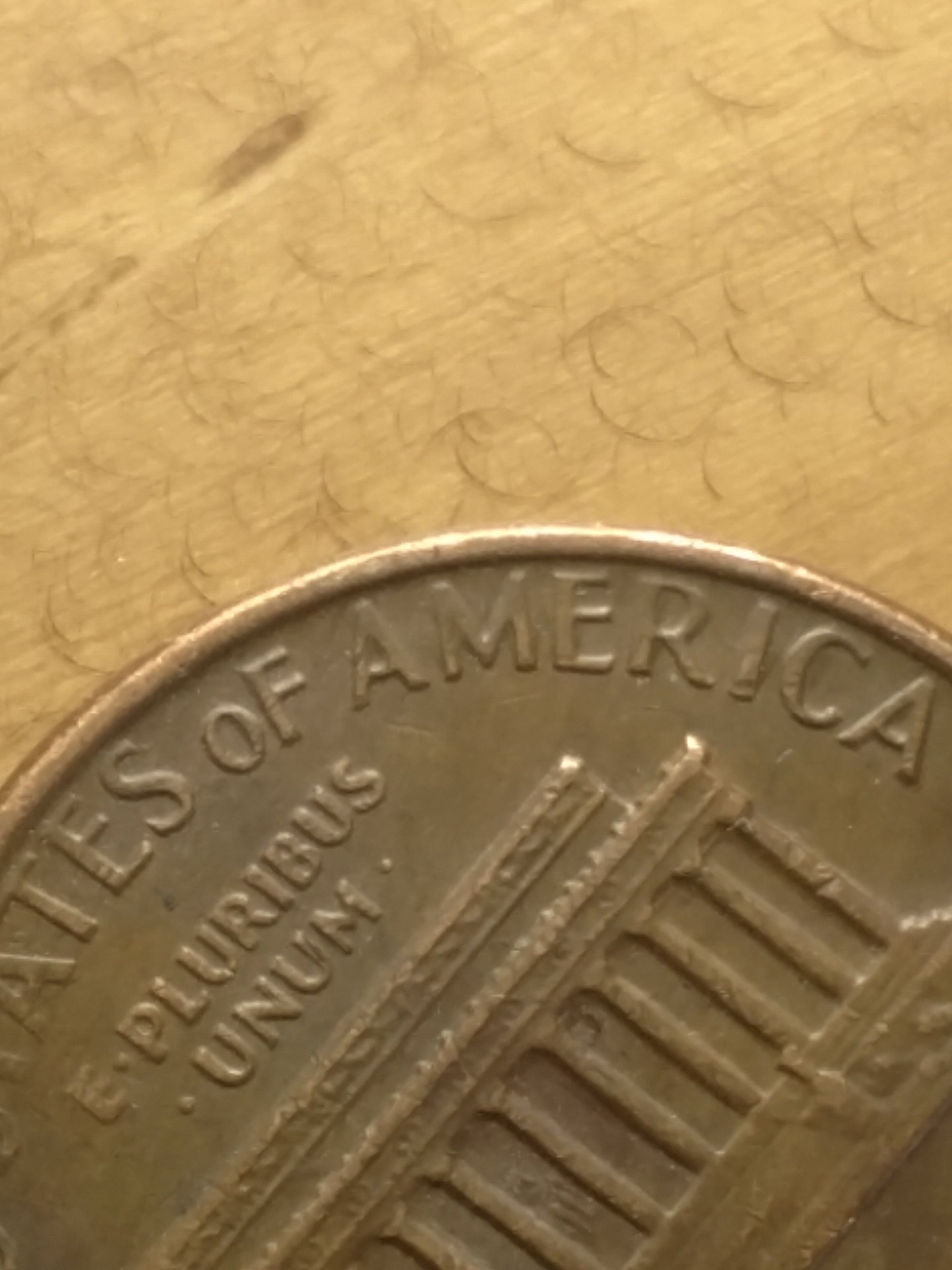 15190659063051990847354.jpg