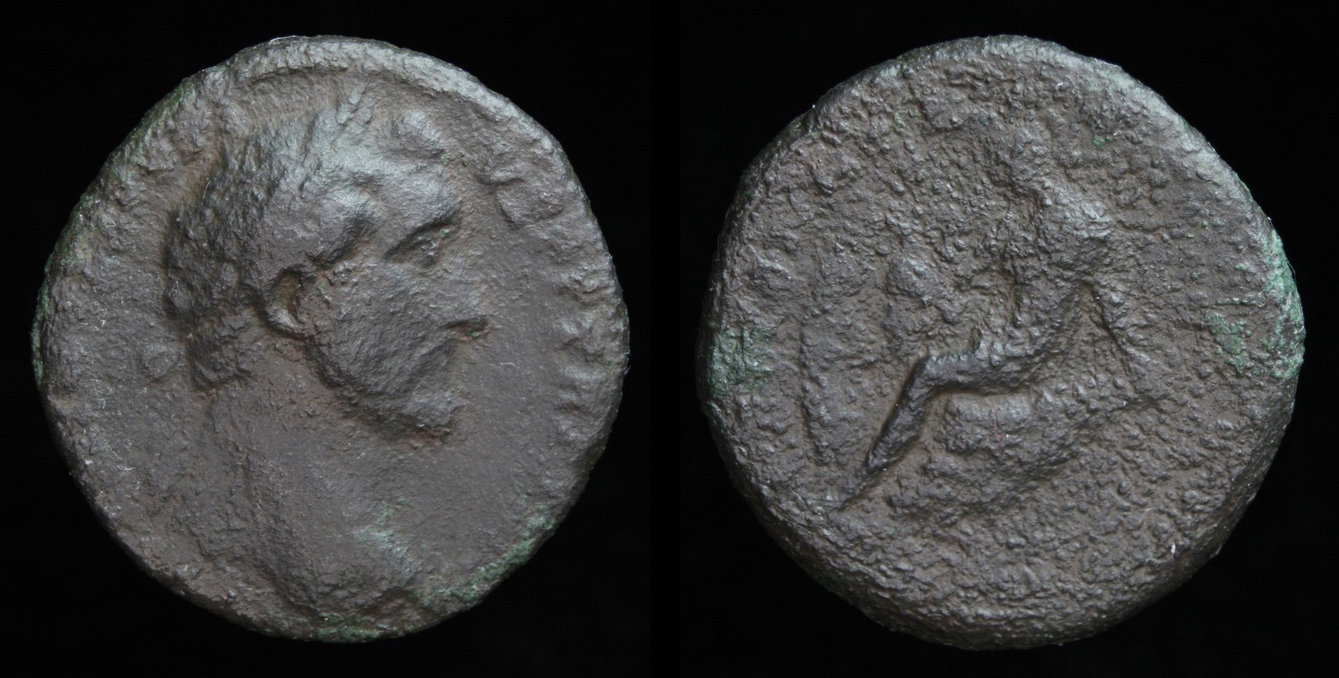 152.jpg