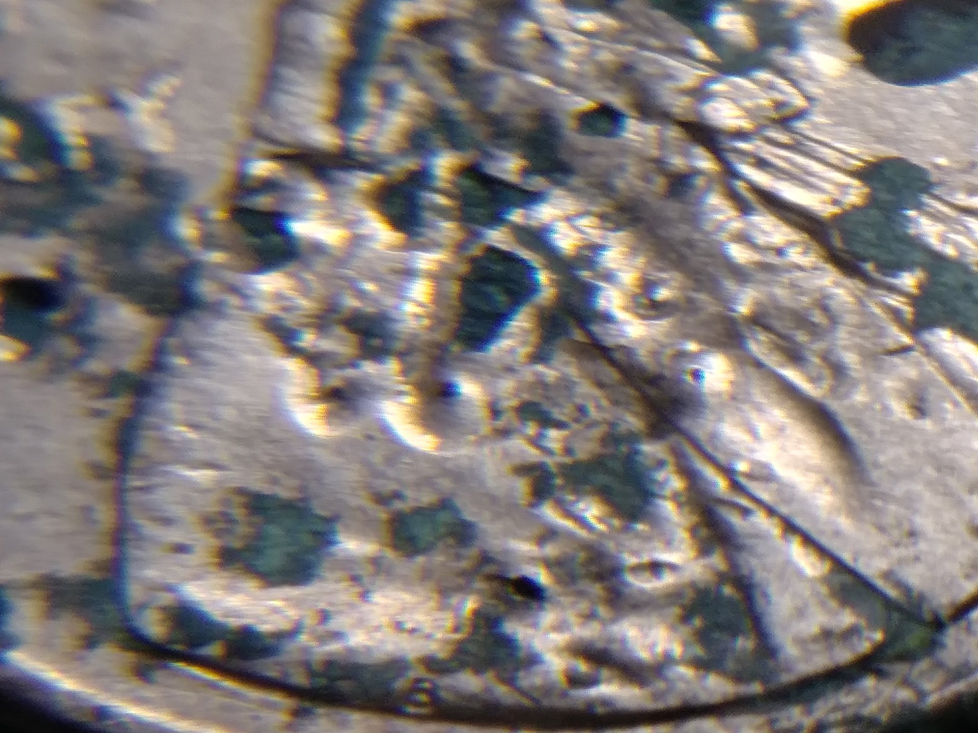 1520117861008167539163.jpg