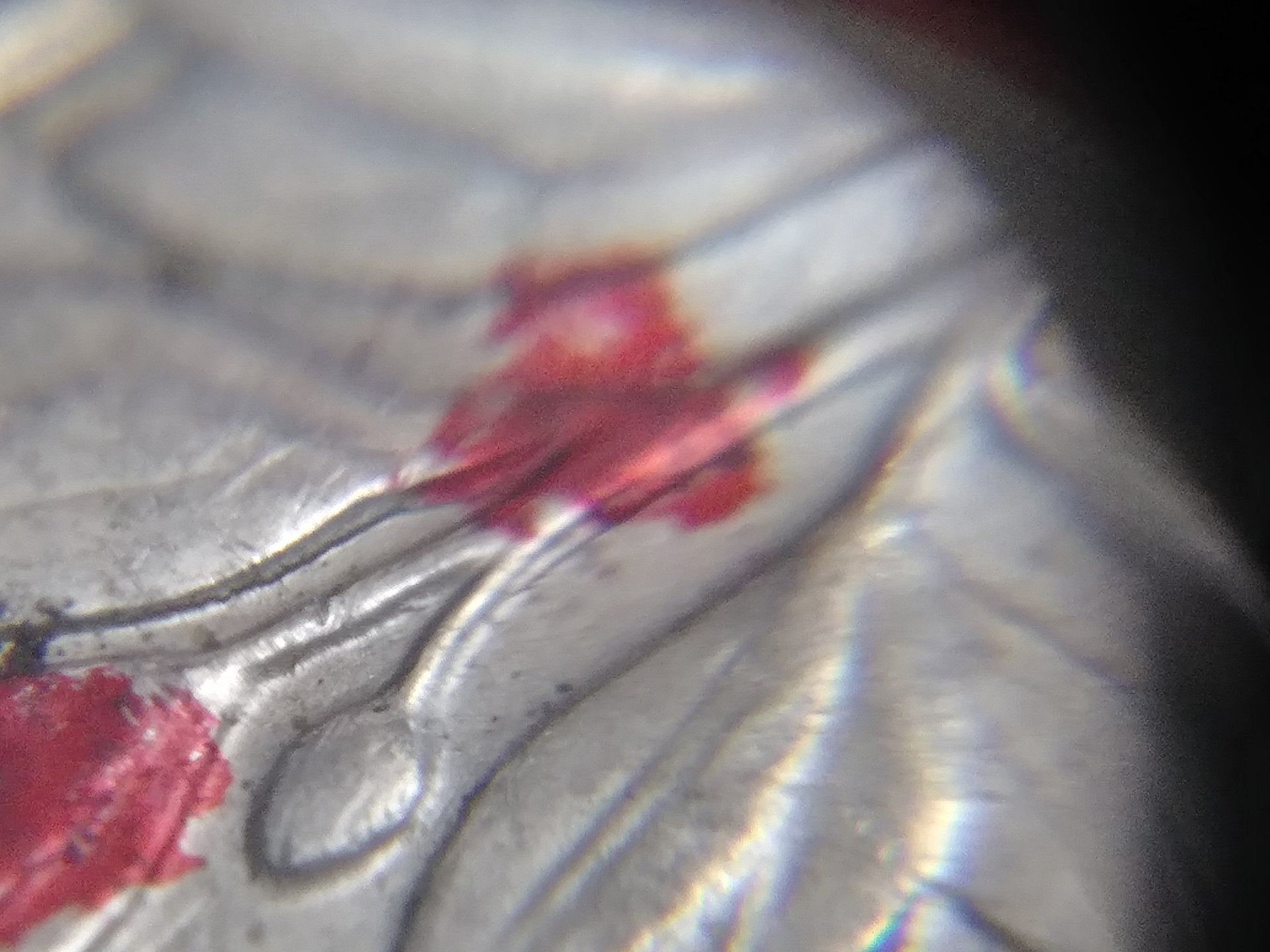15201251440661603049189.jpg