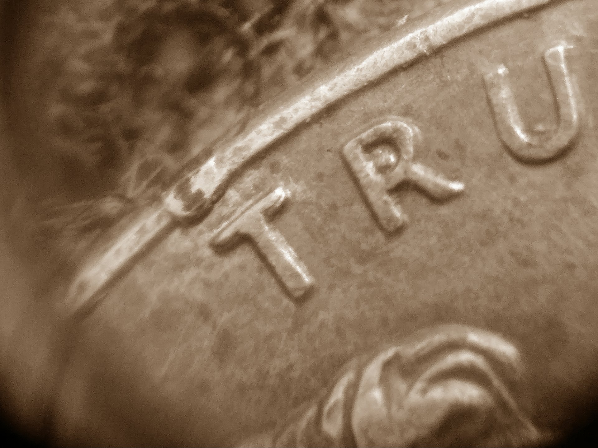 15203231292741358634481.jpg