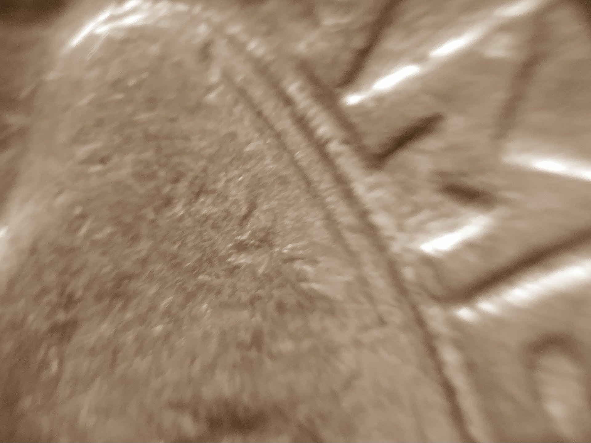 15203939928101278386907.jpg