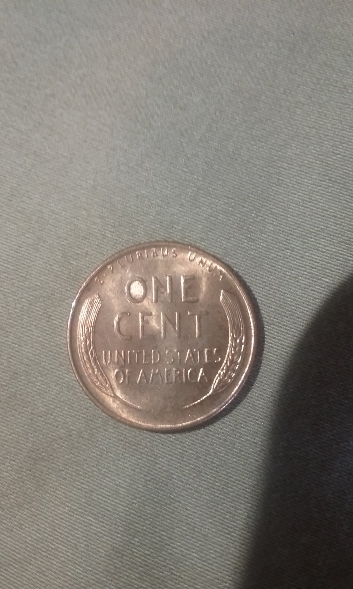 1521037401433-615988986.jpg