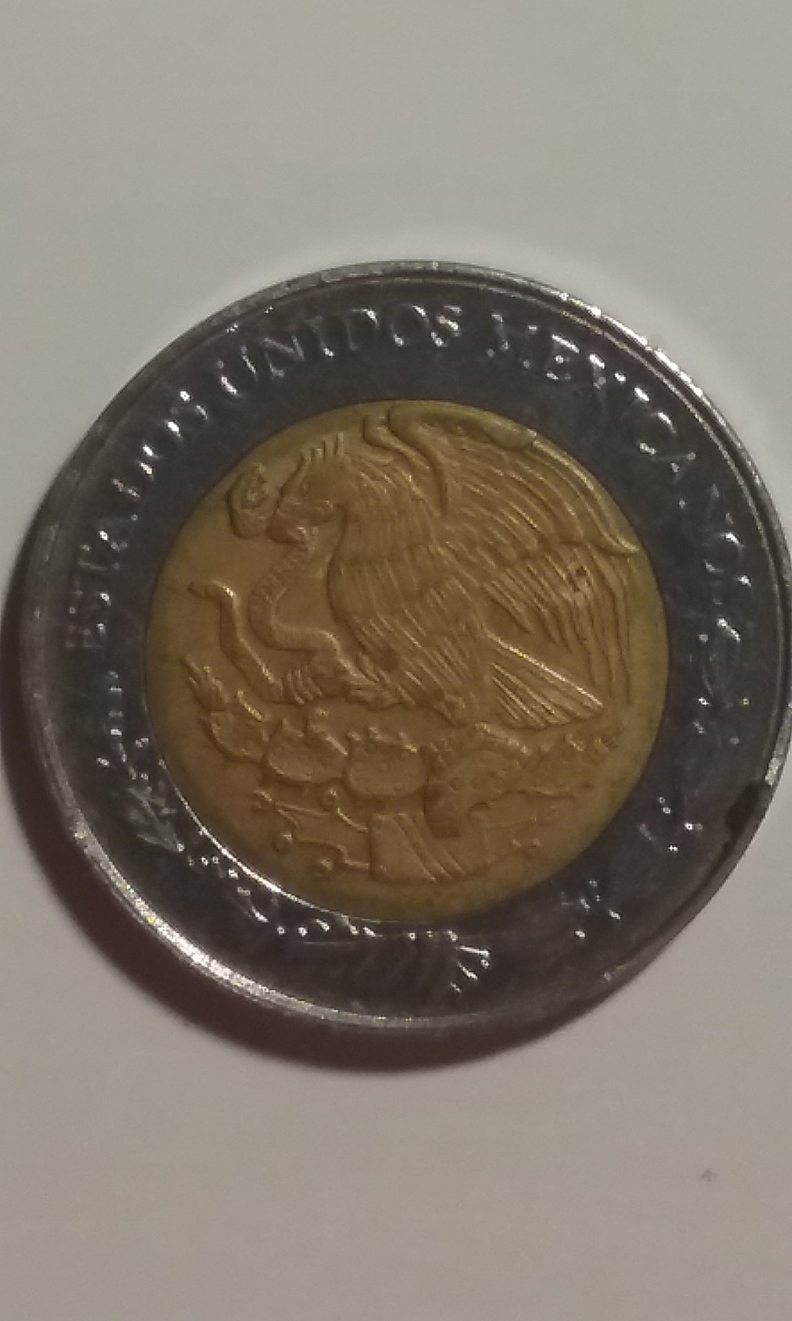 1521614957965776171802.jpg