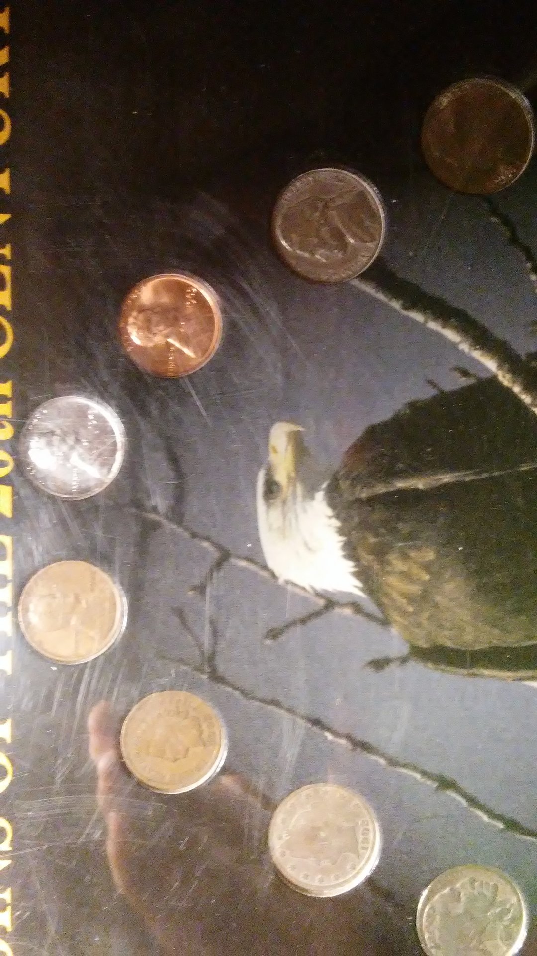 1525526284354202841389.jpg