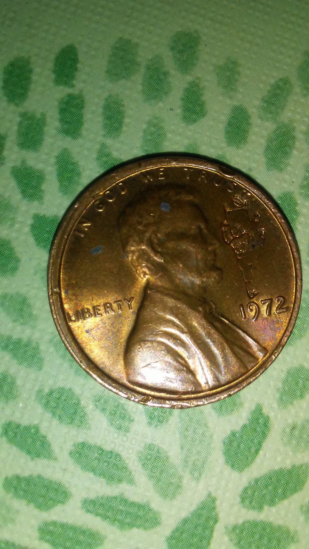 15270038883511693181344.jpg