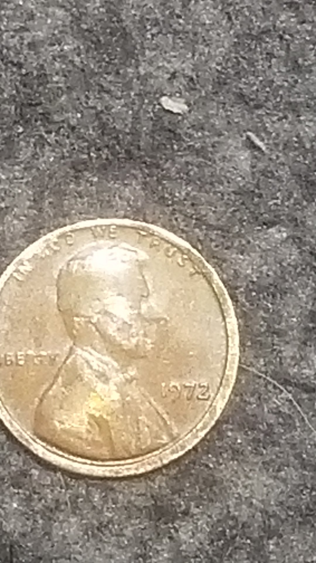 15271153150895084105474226616528.jpg