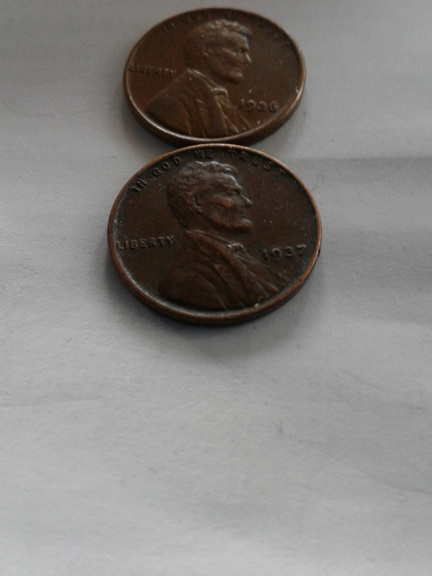 1528068102467485989204.jpg