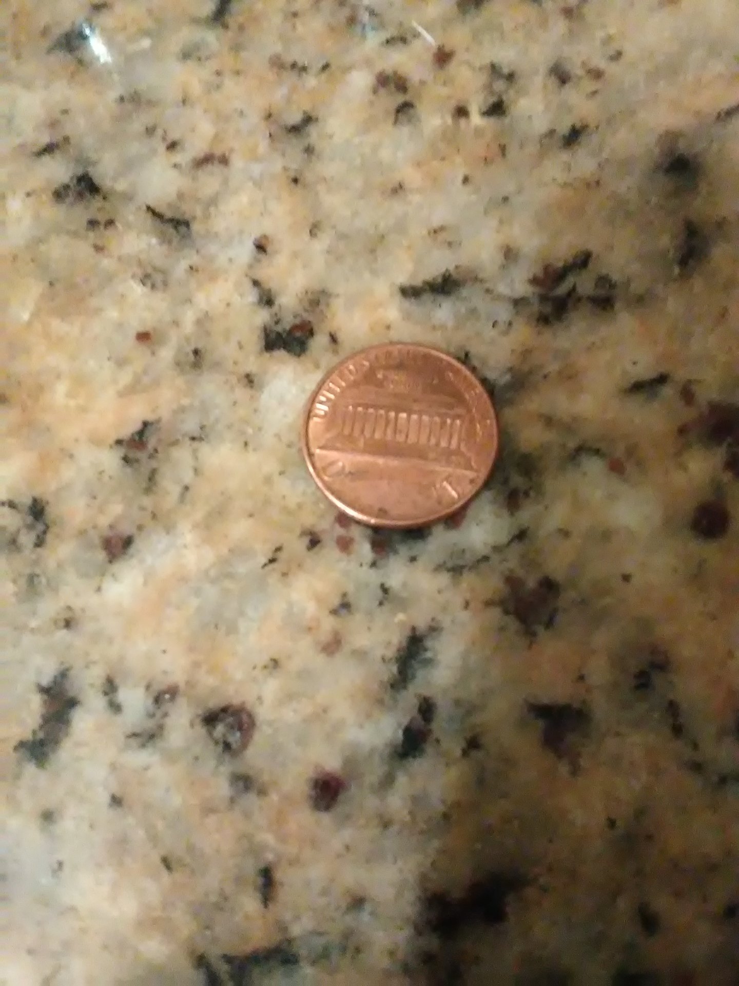 1533343108797891854313.jpg