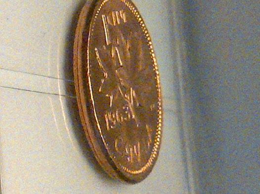 1533806_10154055810525634_3243490699601523694_n.jpg