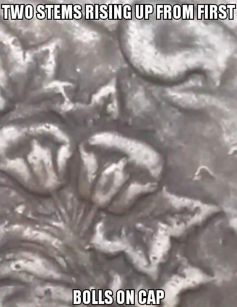 15349564_1142144345899694_4509529100292009185_n.png.jpg
