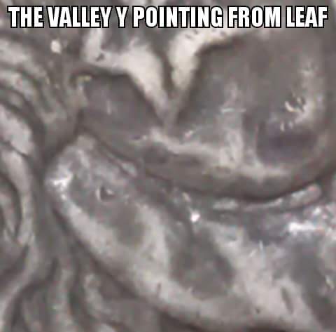 15349708_1142144472566348_5534729588833203802_n.png.jpg