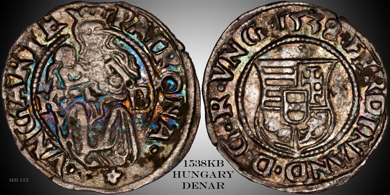 1538 1 Denar (Custom).jpg