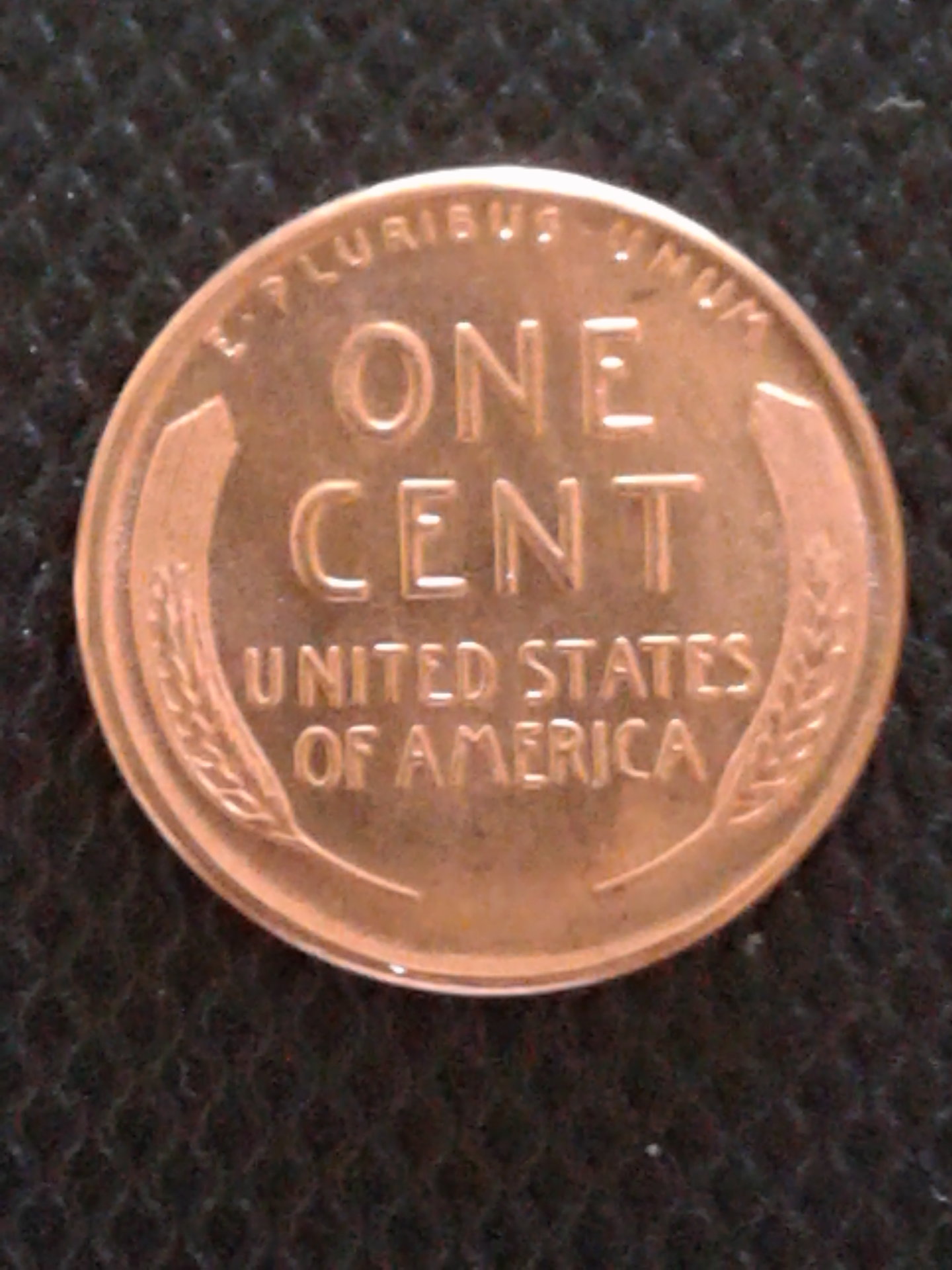 15383502277851069577501.jpg