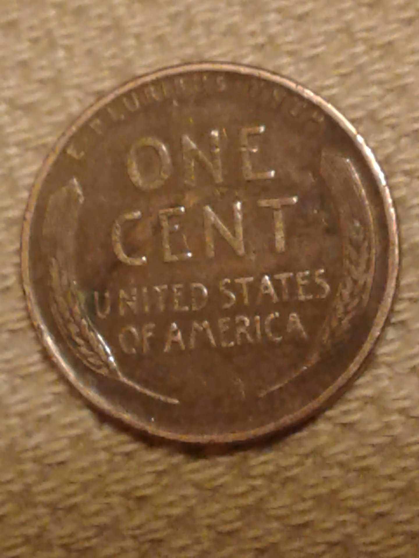 1544849514610-919029703.jpg
