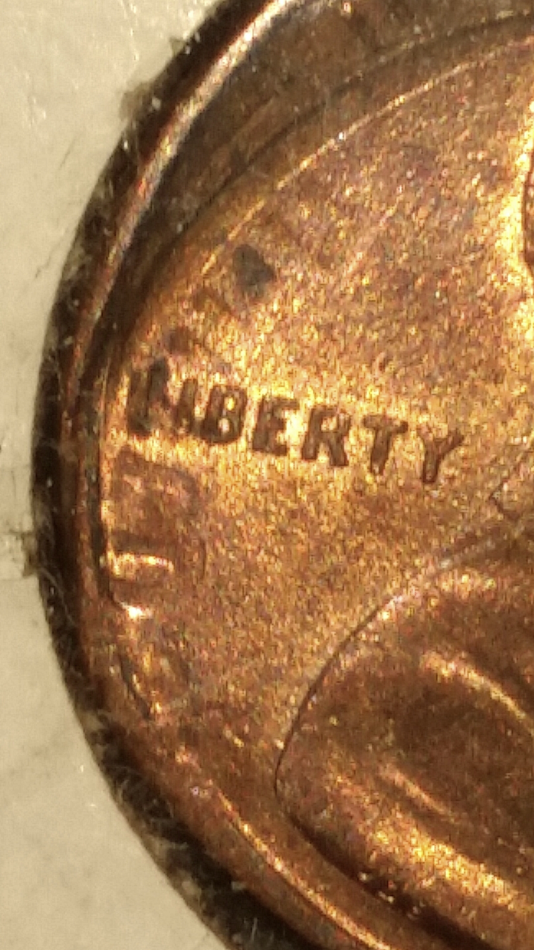 1545044353259.jpg