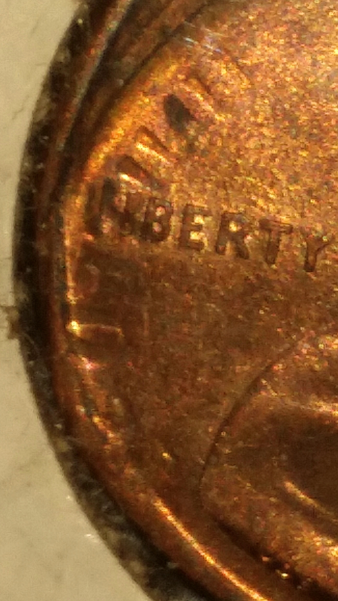 1545044374400.jpg