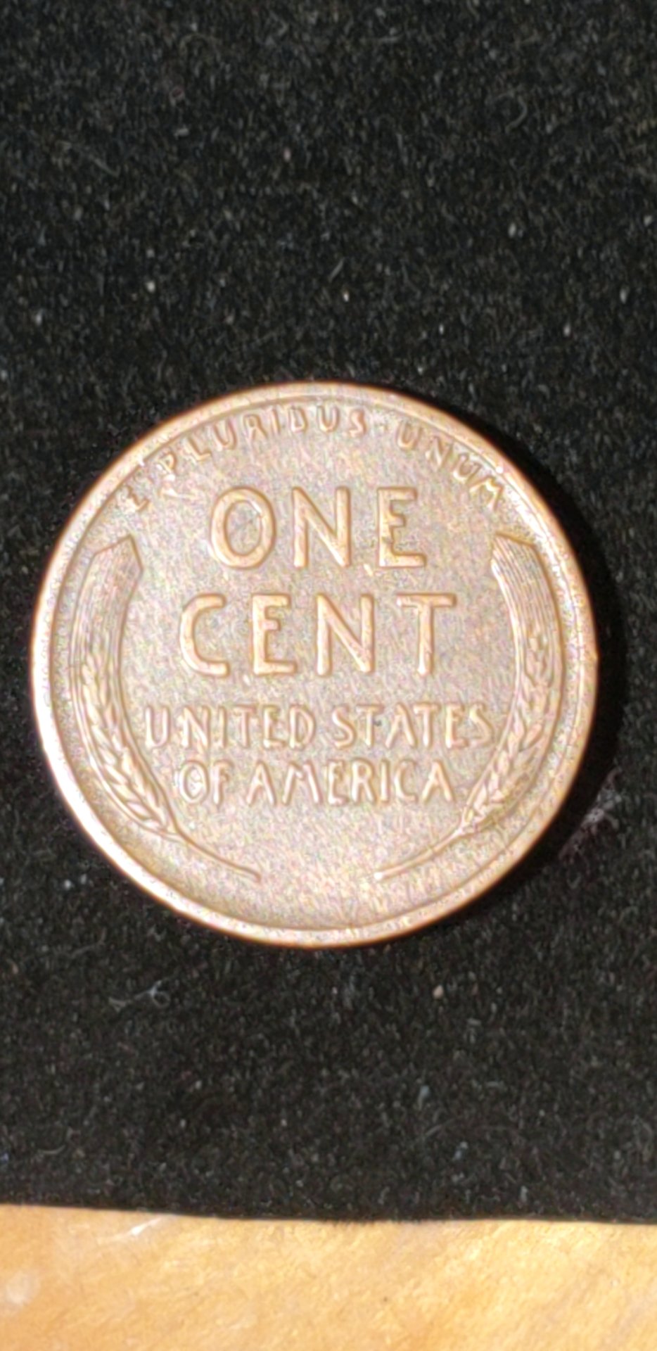 1545974088574.jpg