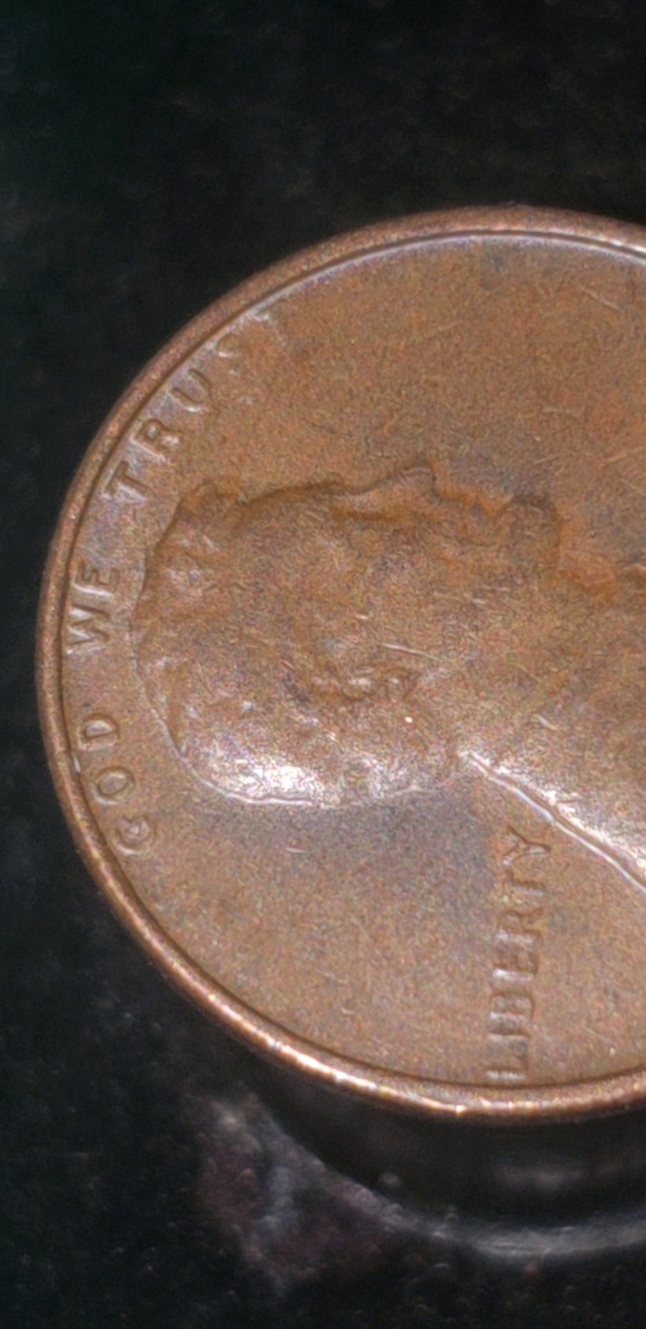 1546416525855.jpg