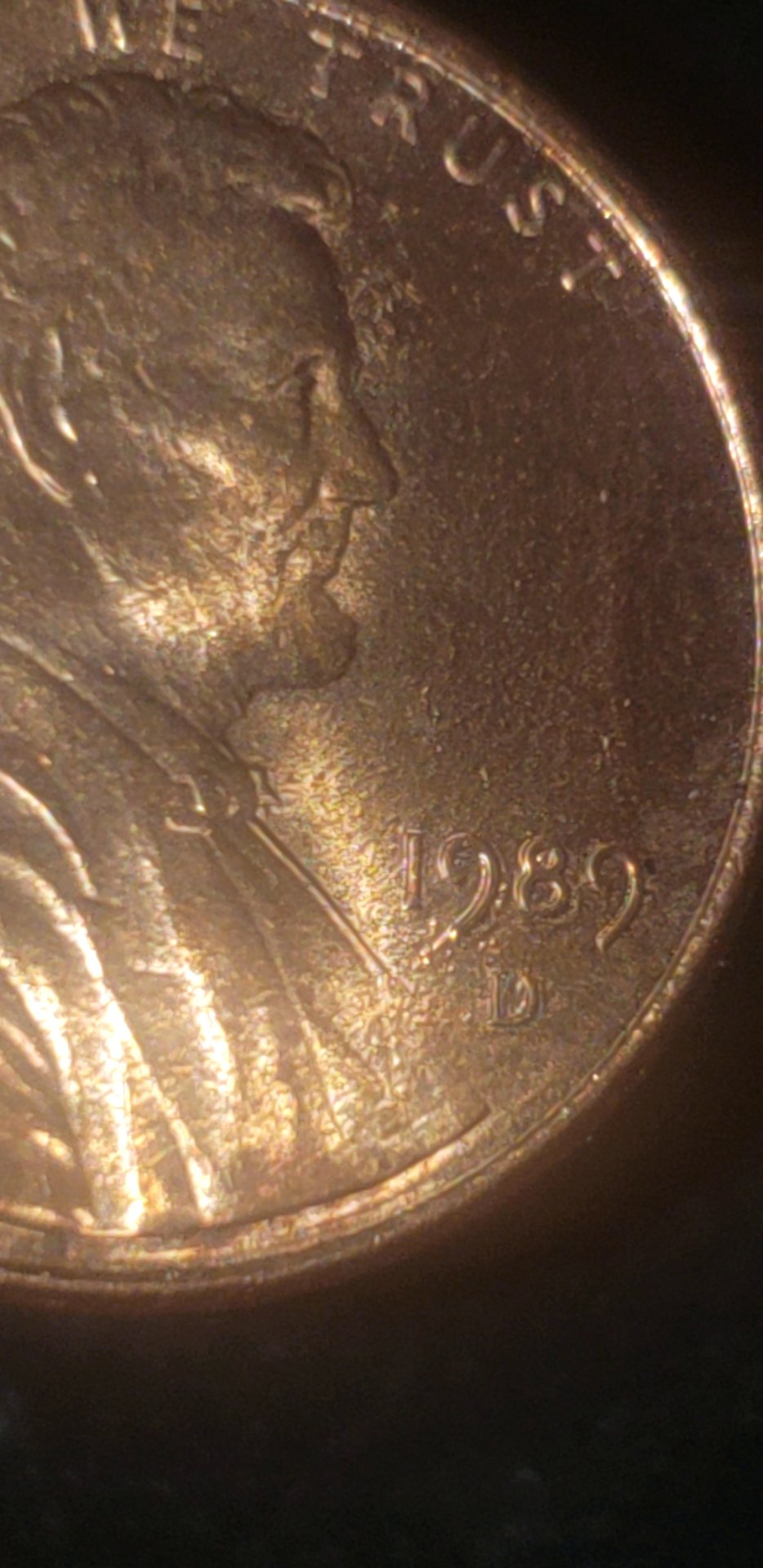 1546493751302.jpg