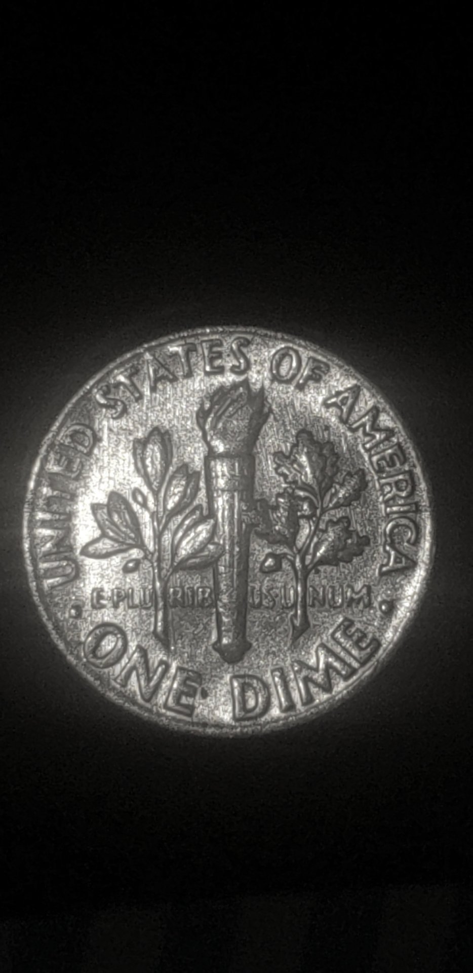 1546509706418.jpg