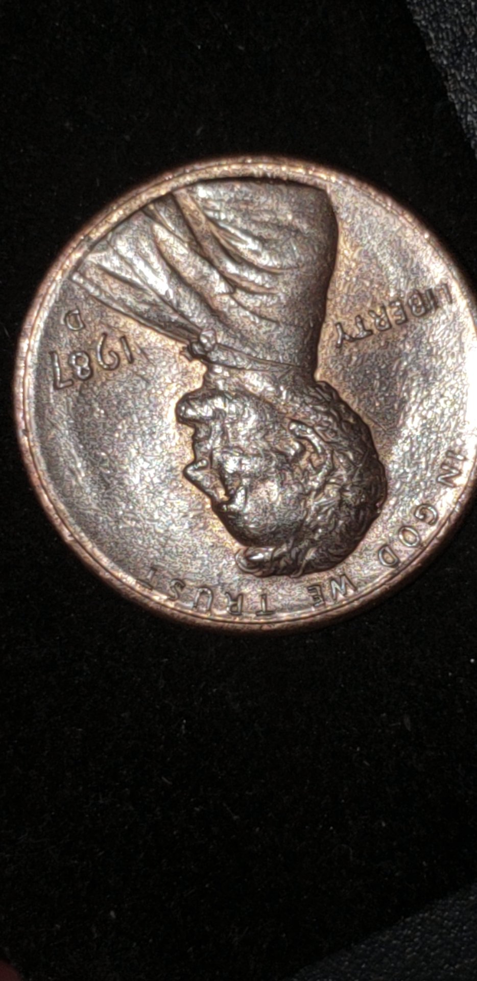 1547071215580.jpg