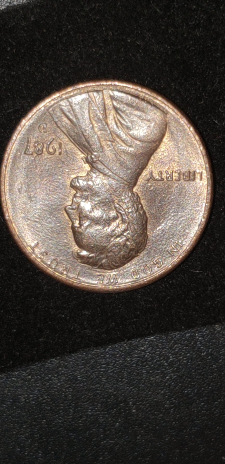1547071461383.jpg