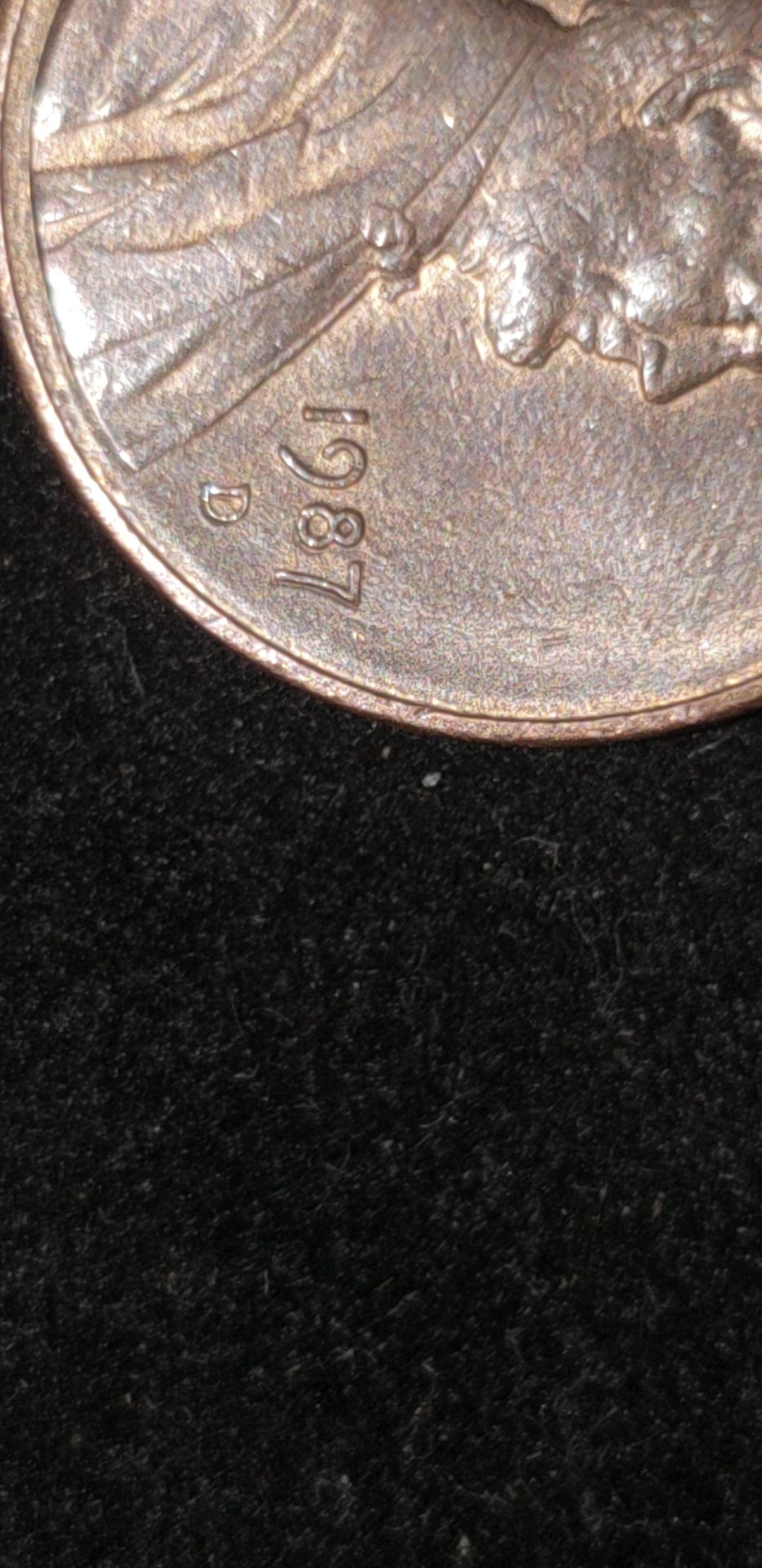 1547071505939.jpg