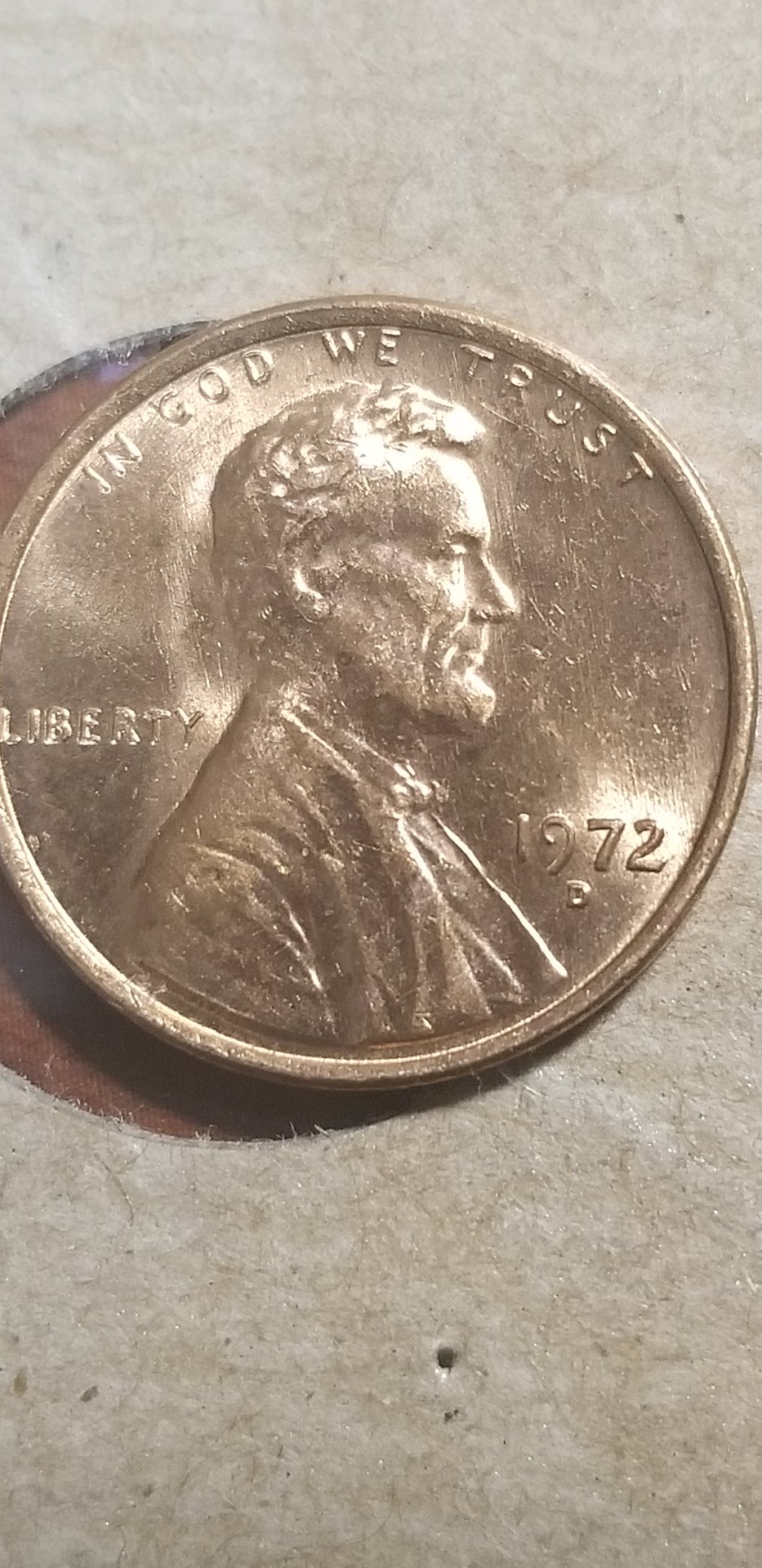 1547447511719269999185947236841.jpg
