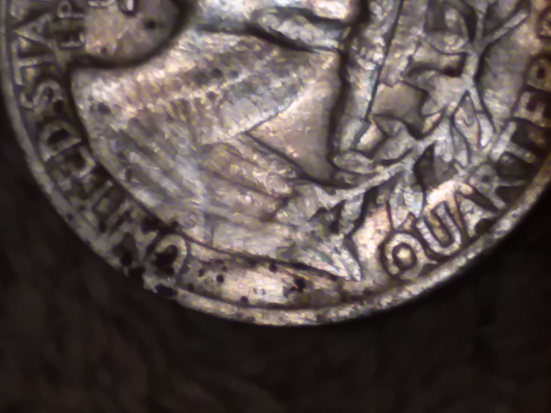 1547619792476Image.jpg