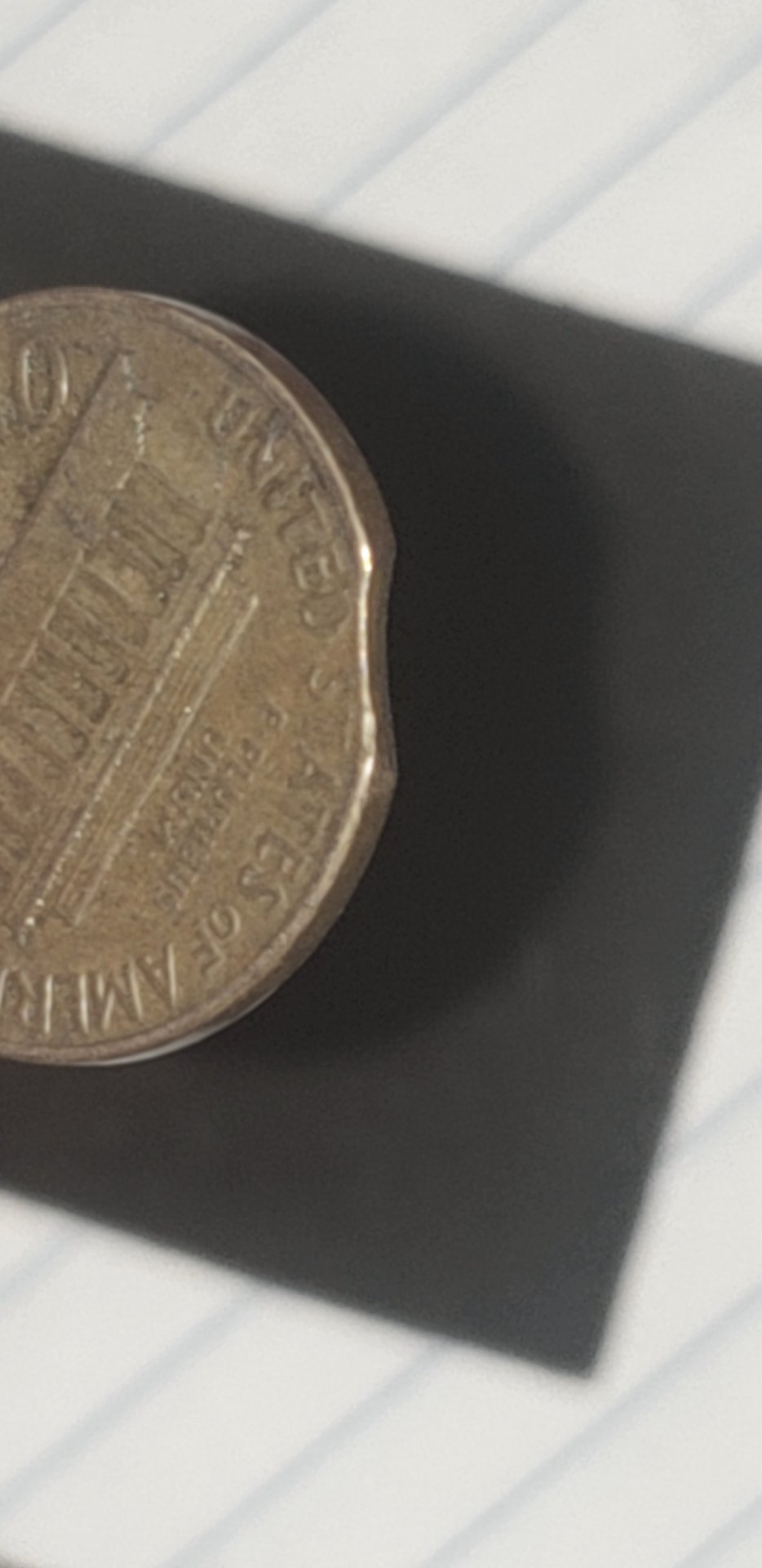 1548073804146.jpg