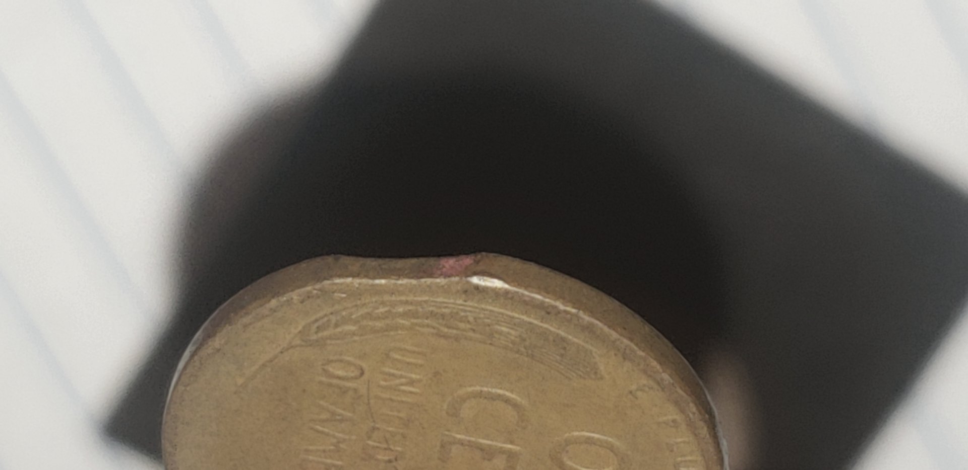 1548074032256.jpg