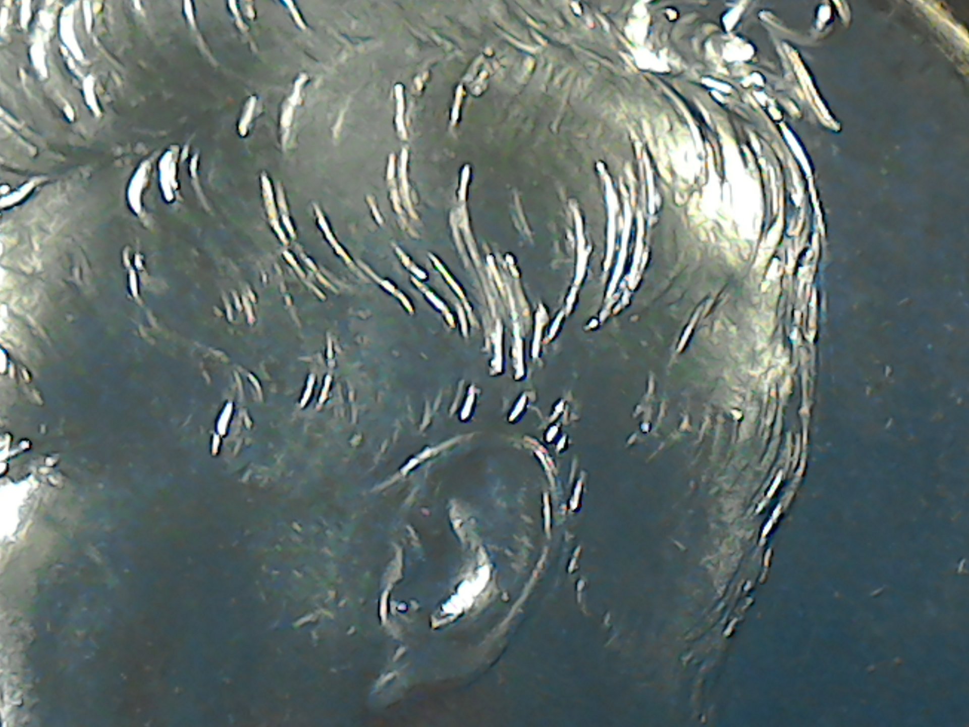 1548529454782-1248604340.jpg