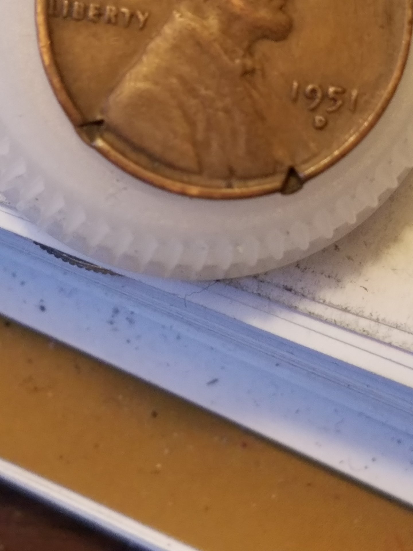 1548879720723666080287.jpg