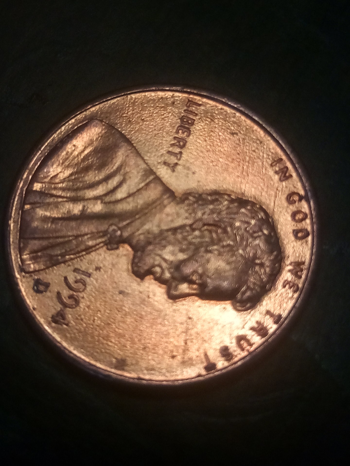 15492161861545126852.jpg