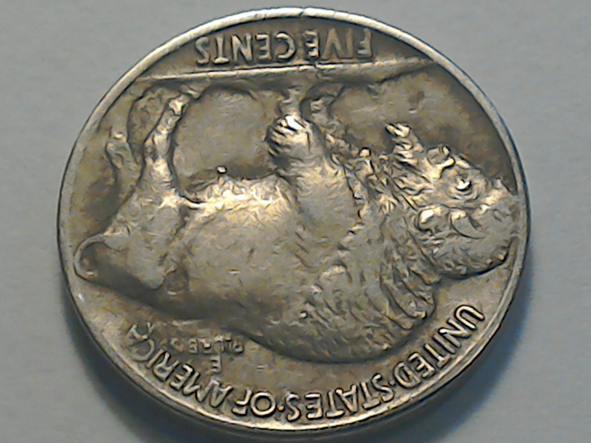 1550330014518-581531251.jpg