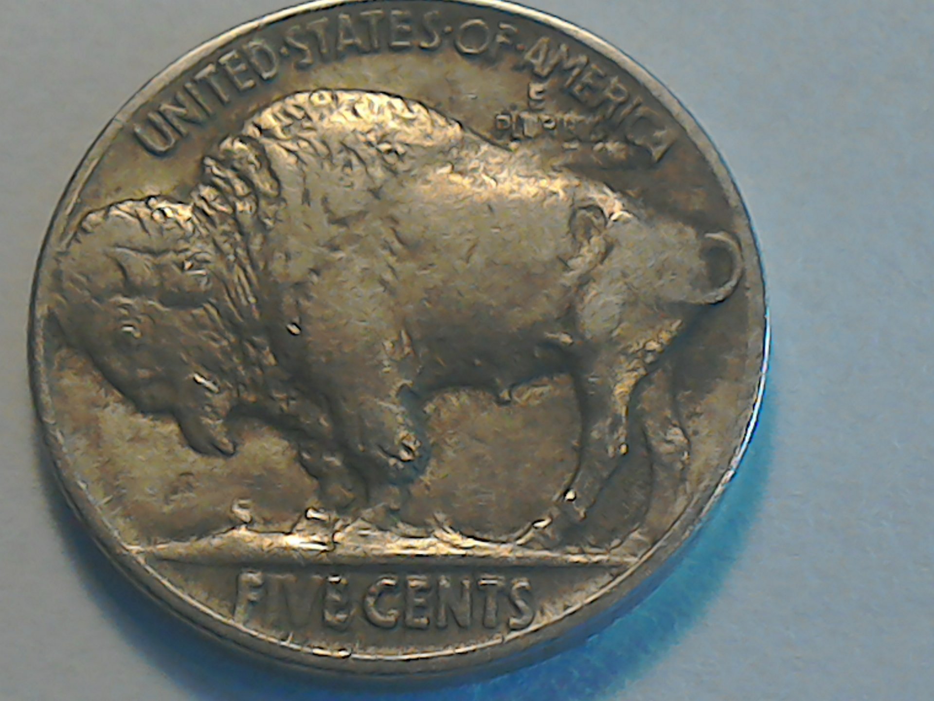 1550330061215-918001823.jpg