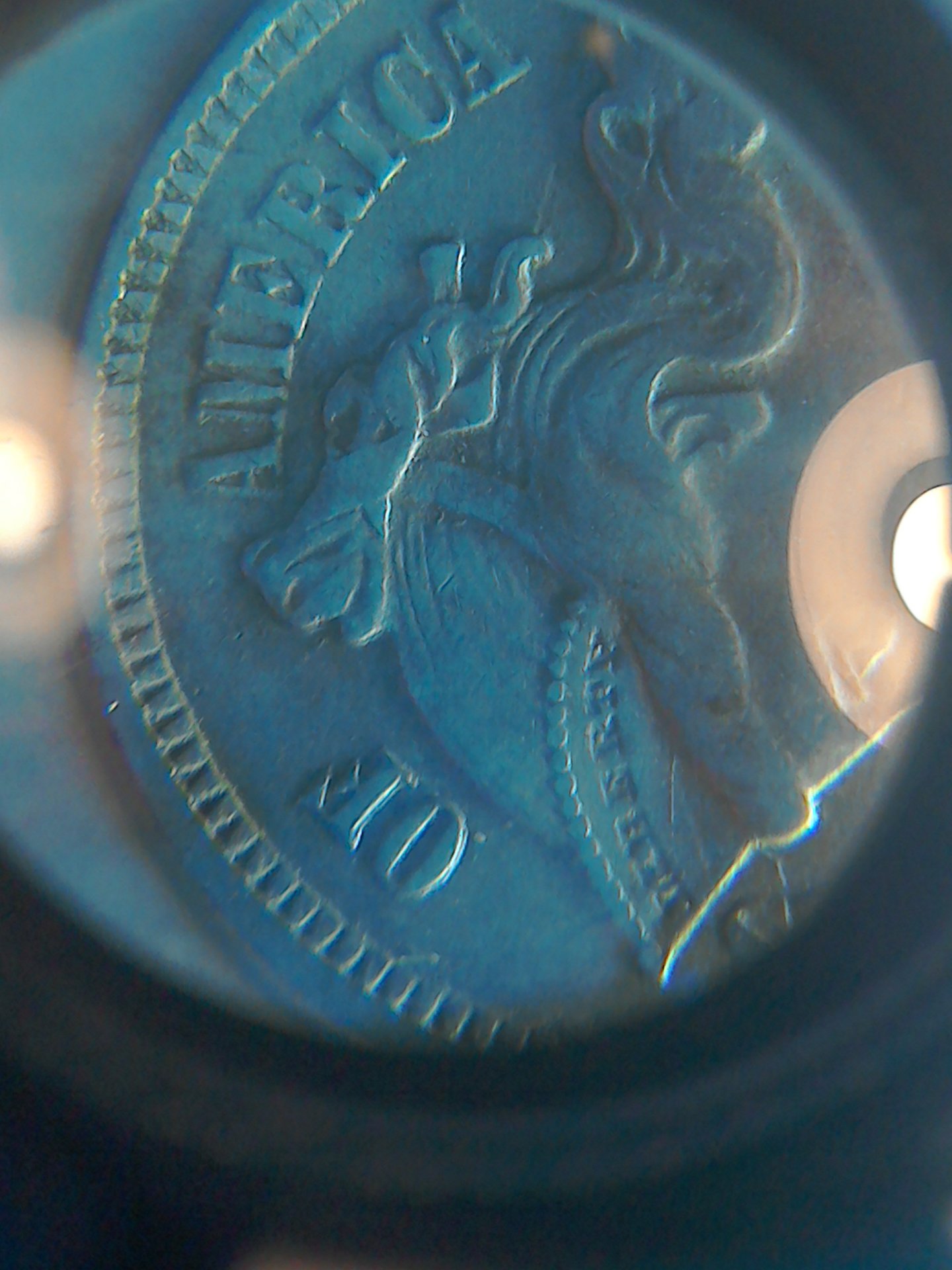 1550334122642-2055324998.jpg