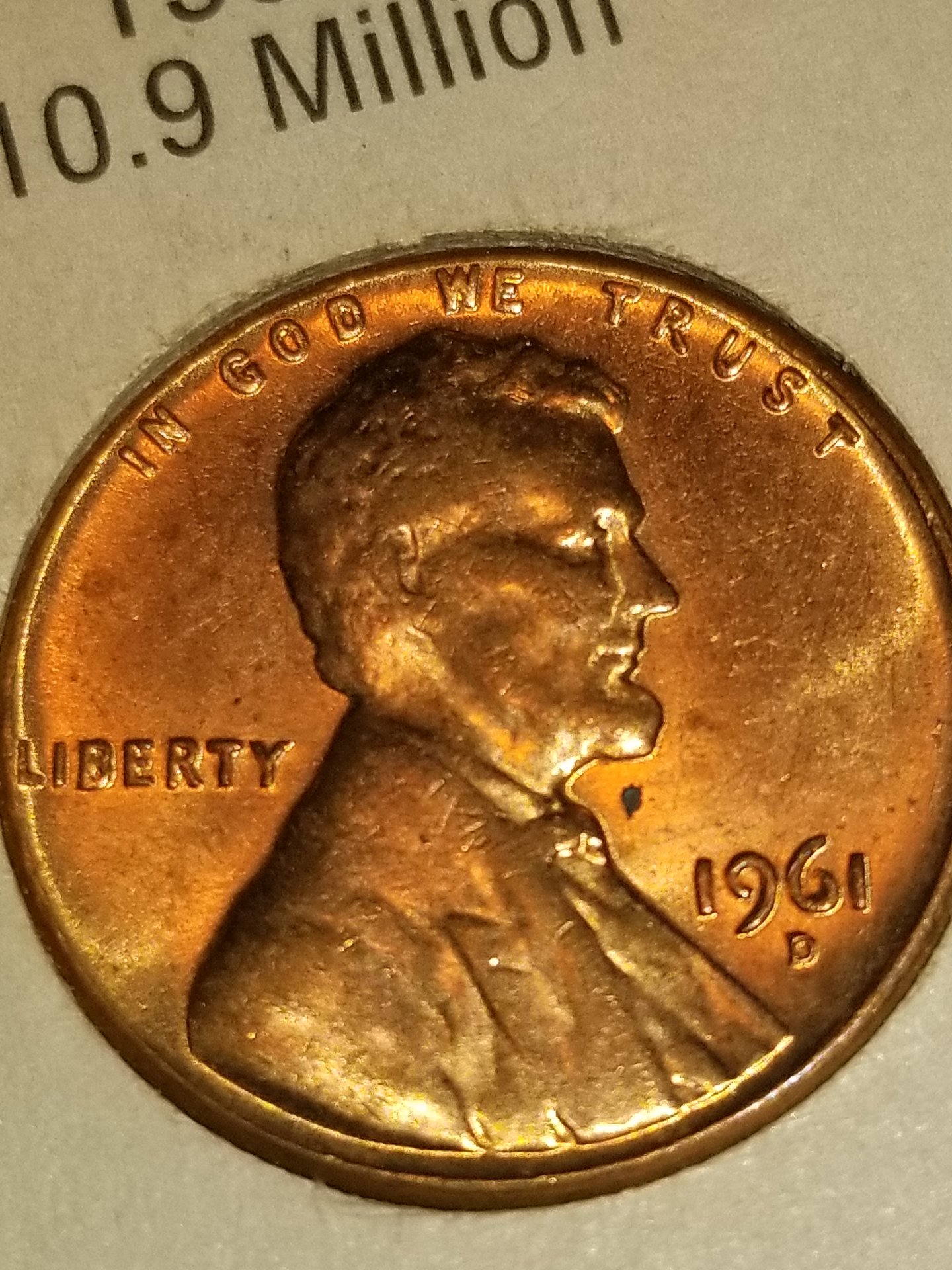 1551688950171364382606.jpg