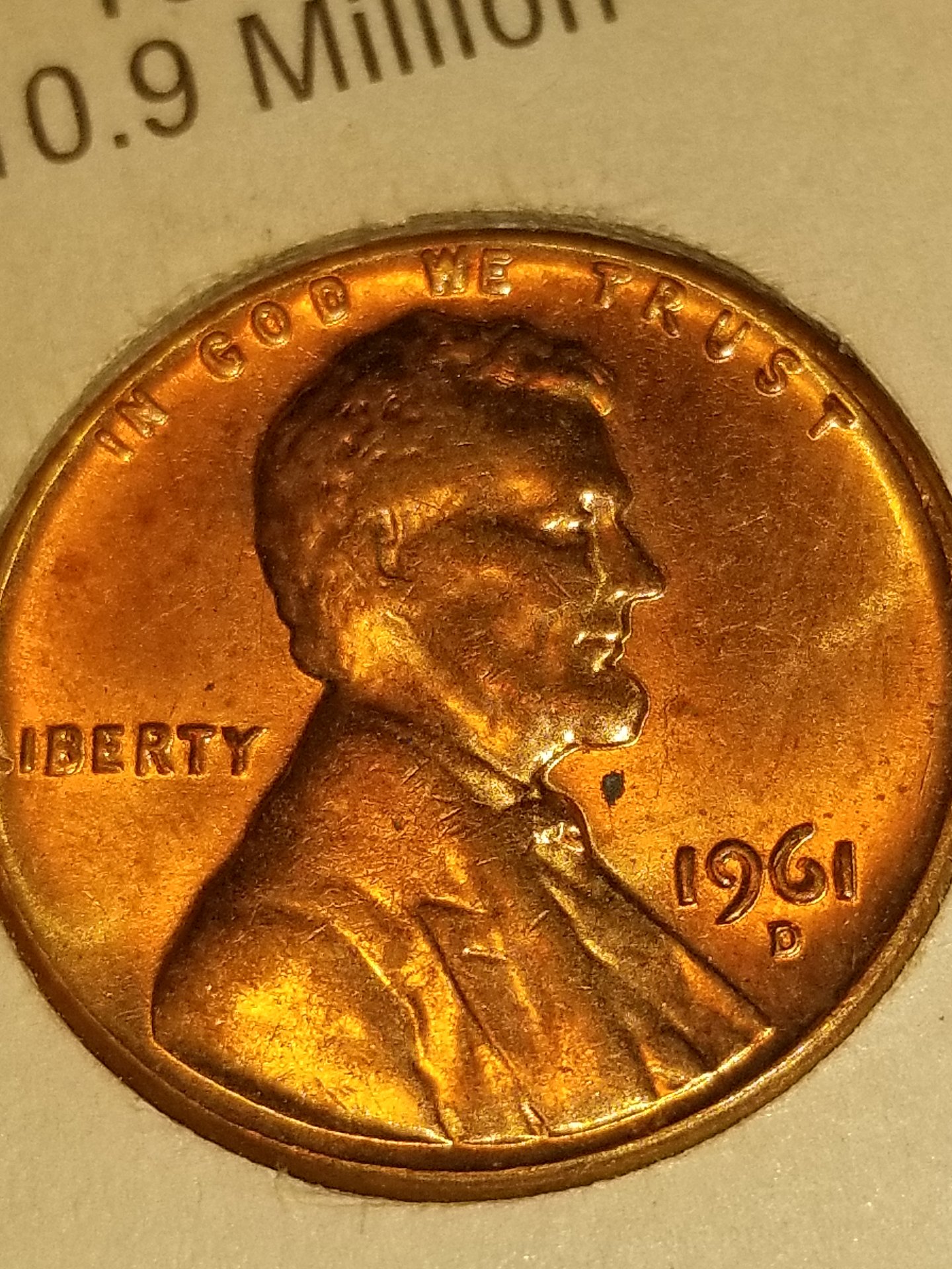 15516891258551883542275.jpg