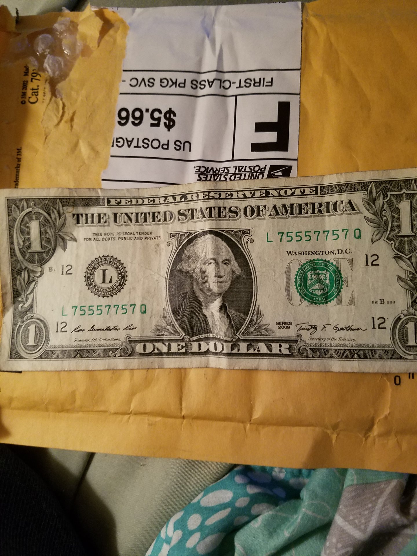 1552553538611271014713.jpg