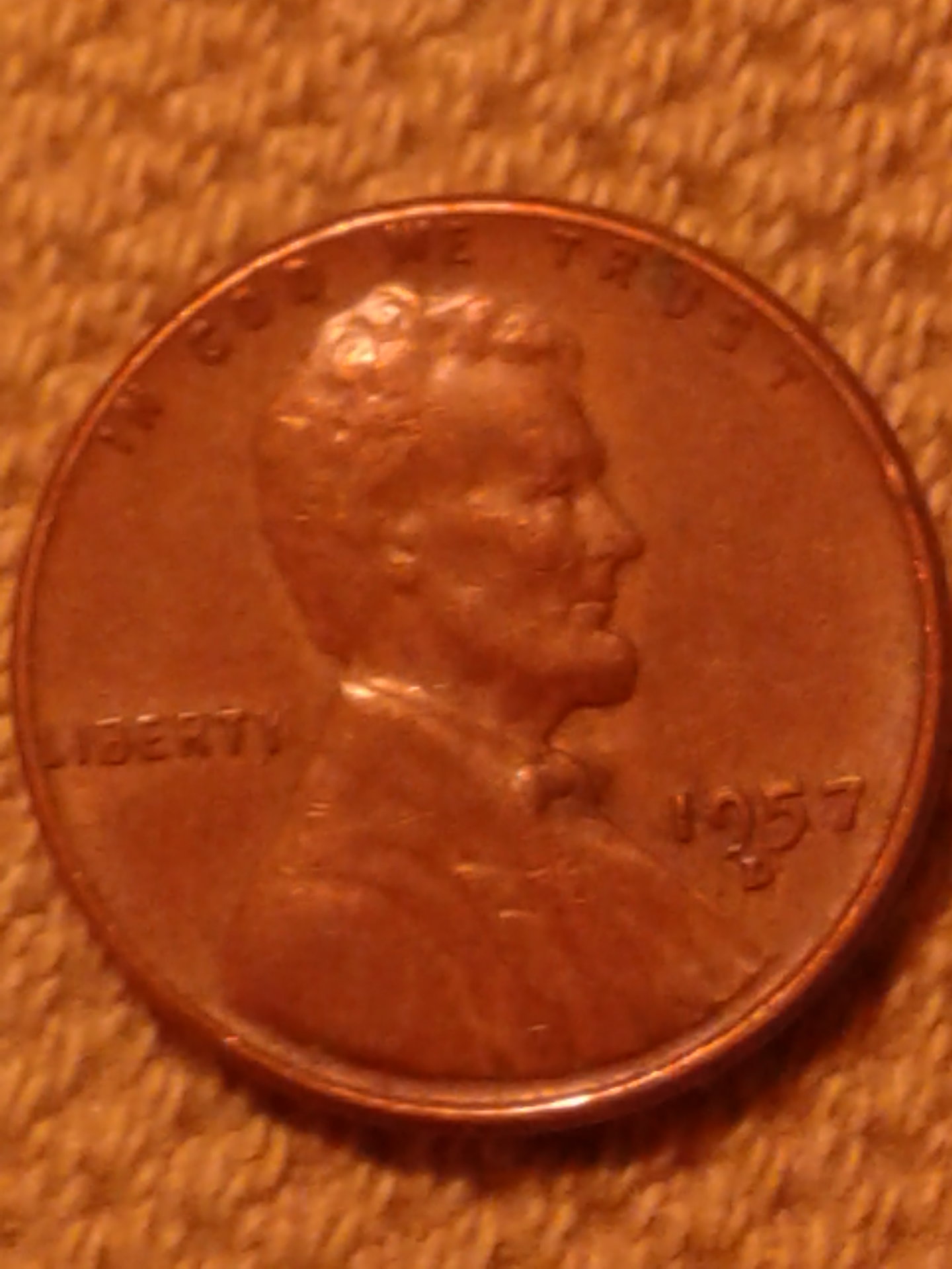 1553054153118944868622.jpg