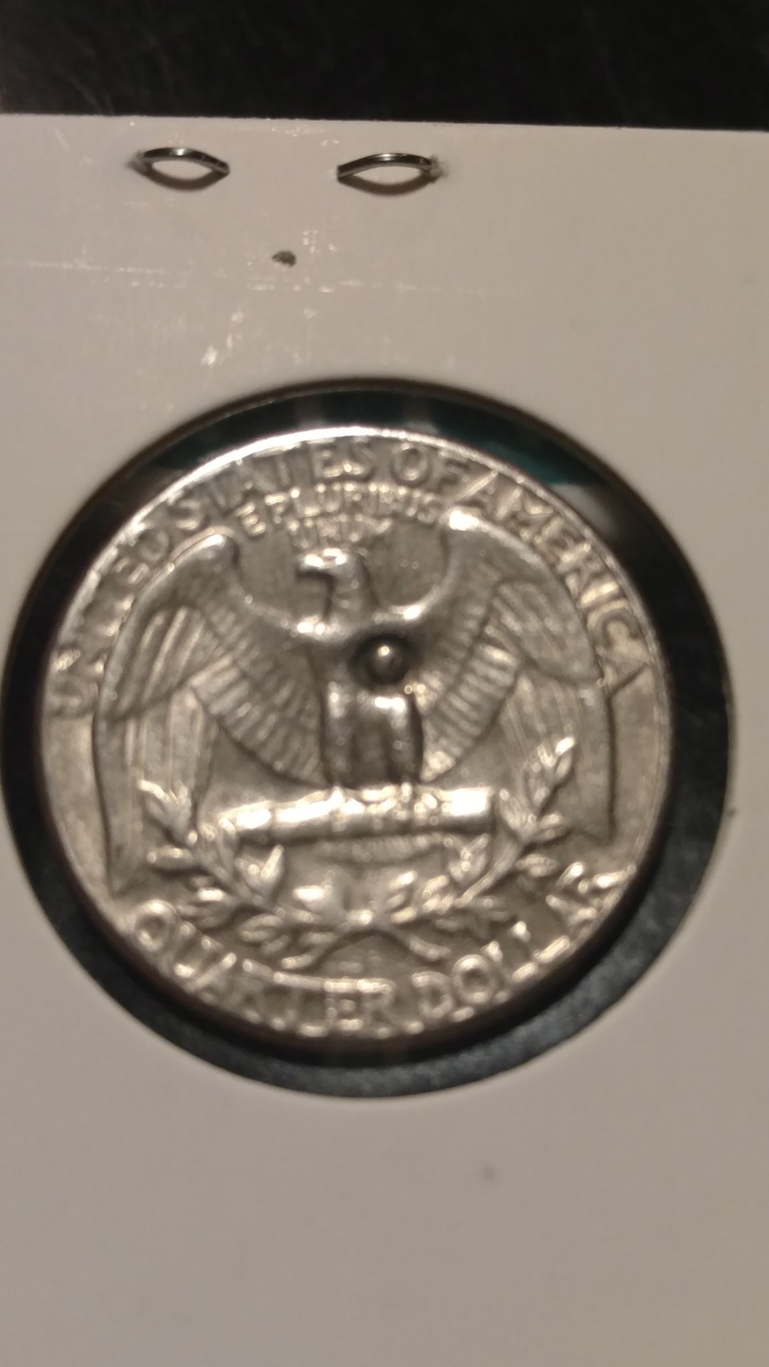 15534051479131606551495.jpg