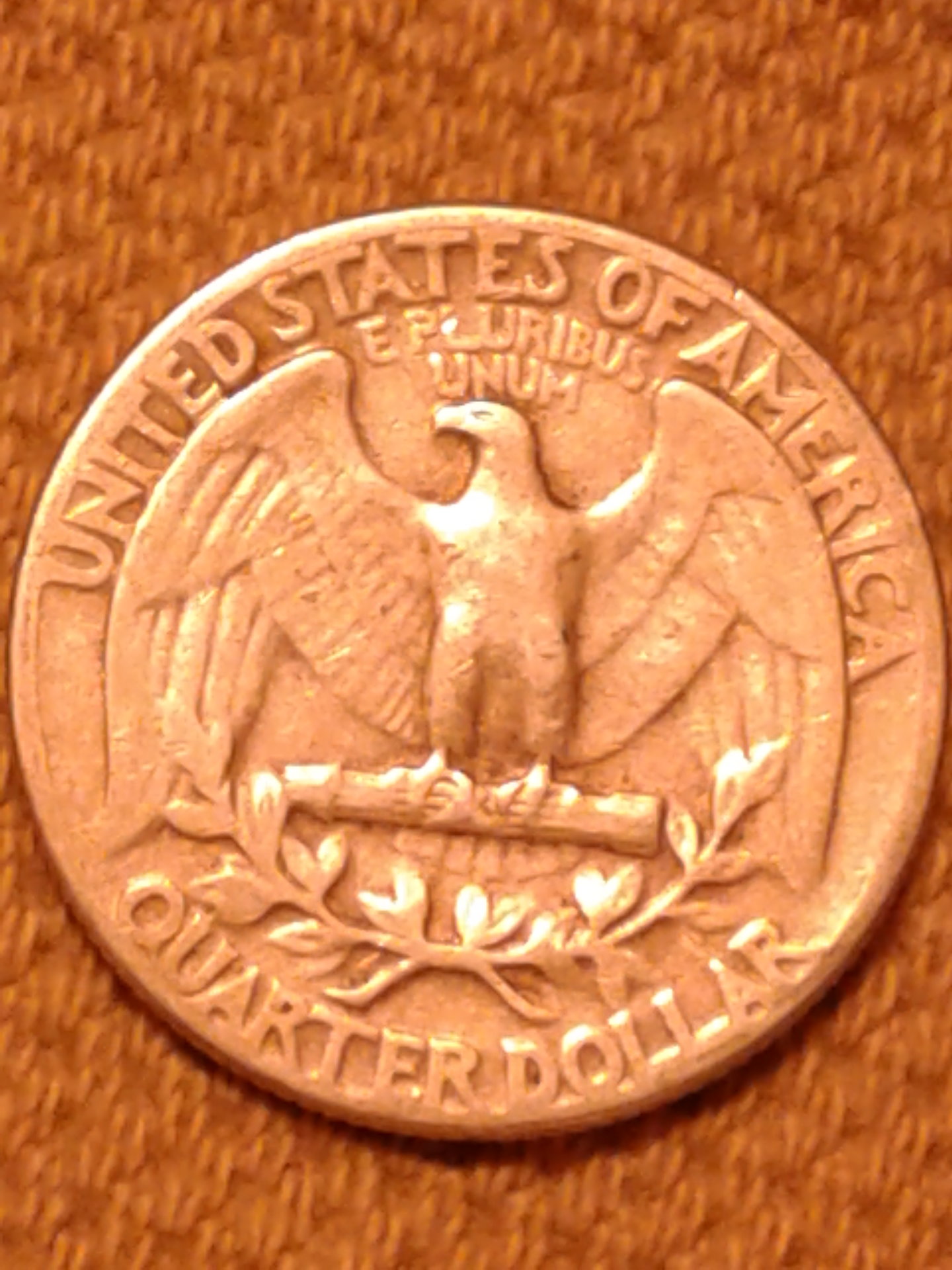 1554699050666-2062940259.jpg