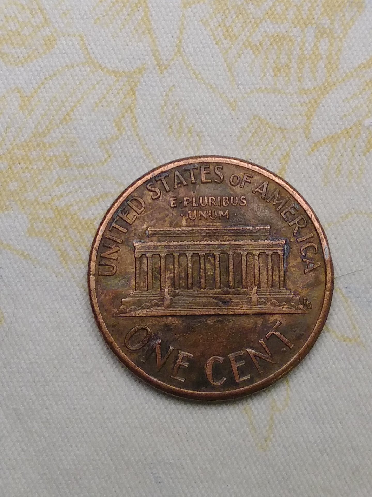 15547687655721329519436.jpg