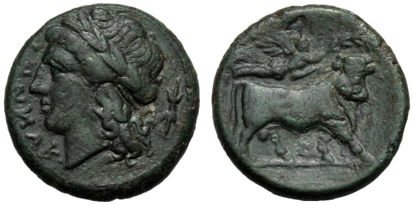 1555902l.jpg