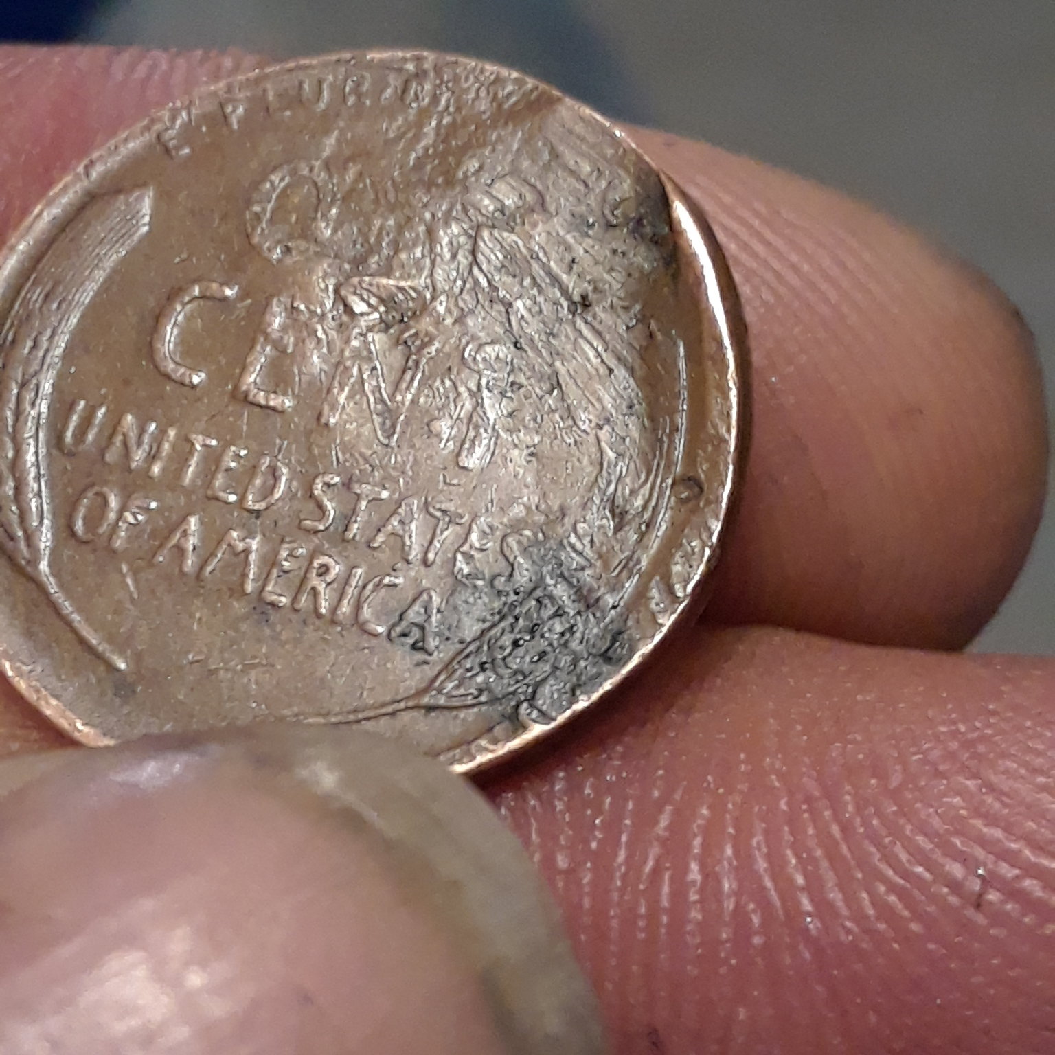 1556098181471119001308.jpg