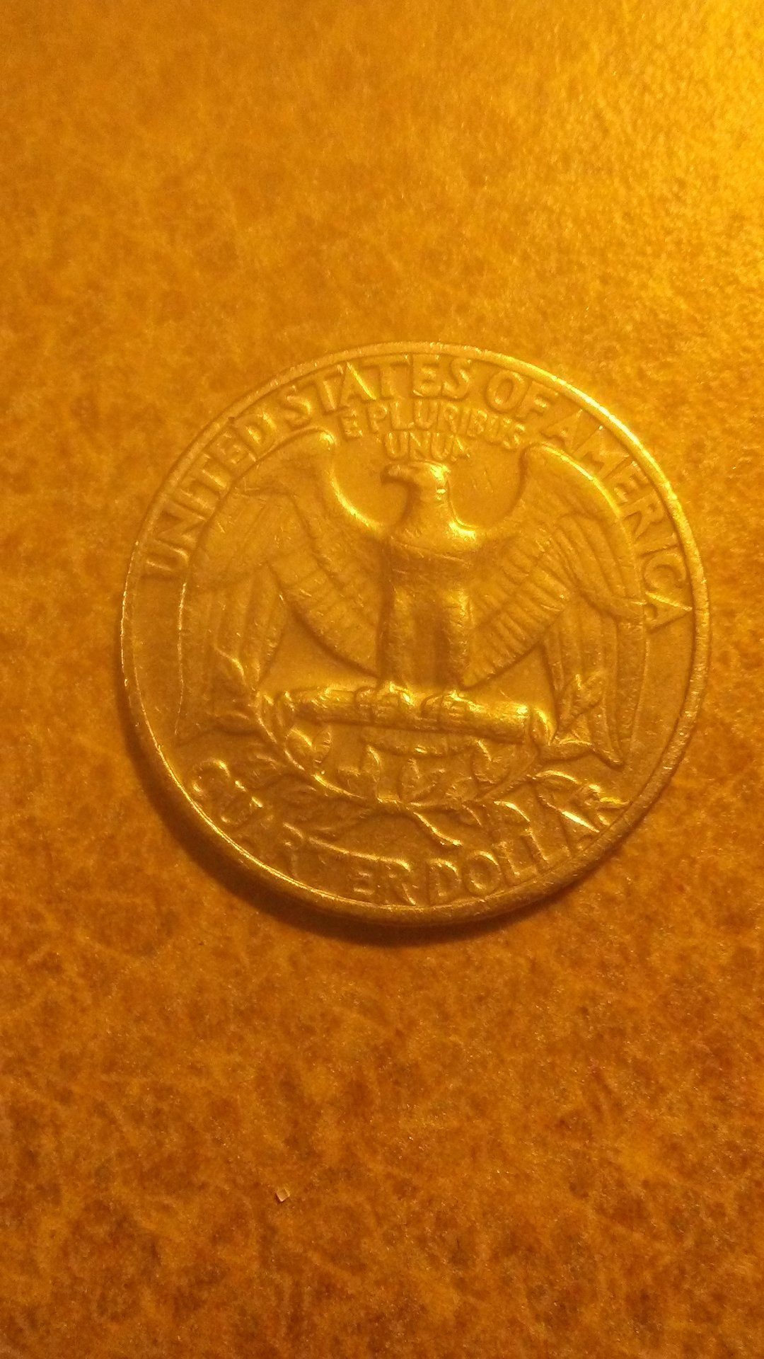 1556581177021-1700871897.jpg